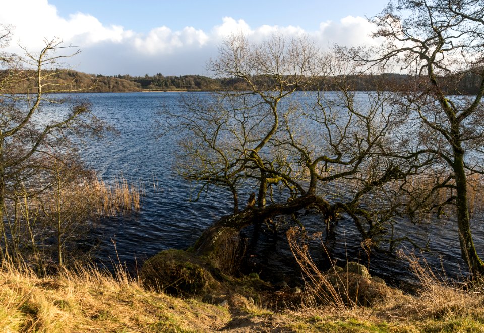 Walking along Hald Sø Viborg Commune Denmark