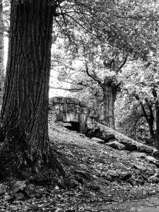 Walker vault, Highwood Cemetery, 2020-10-24, 03 bw