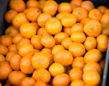 Citrus fruits citrus tangerine photo