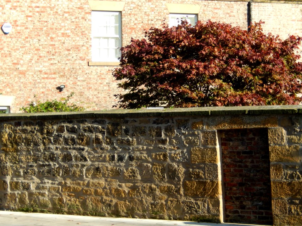 Wall in front of 33 Brandling Park, Newcastle upon Tyne