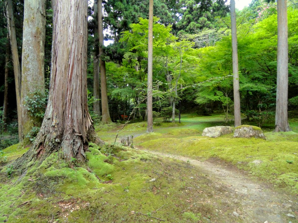 Walkway - Ishiyamadera - Otsu, Shiga - DSC07439