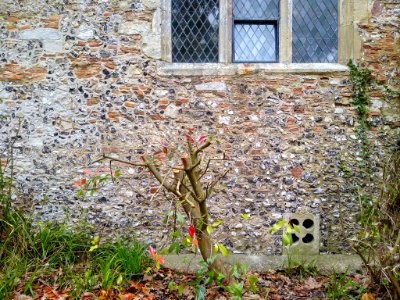 Wall of the Abbey Church of St Mary and St Melor