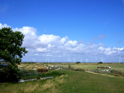 Walland Marsh, Camber