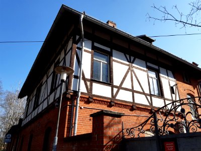 Waldkater 01 Halle (Saale)