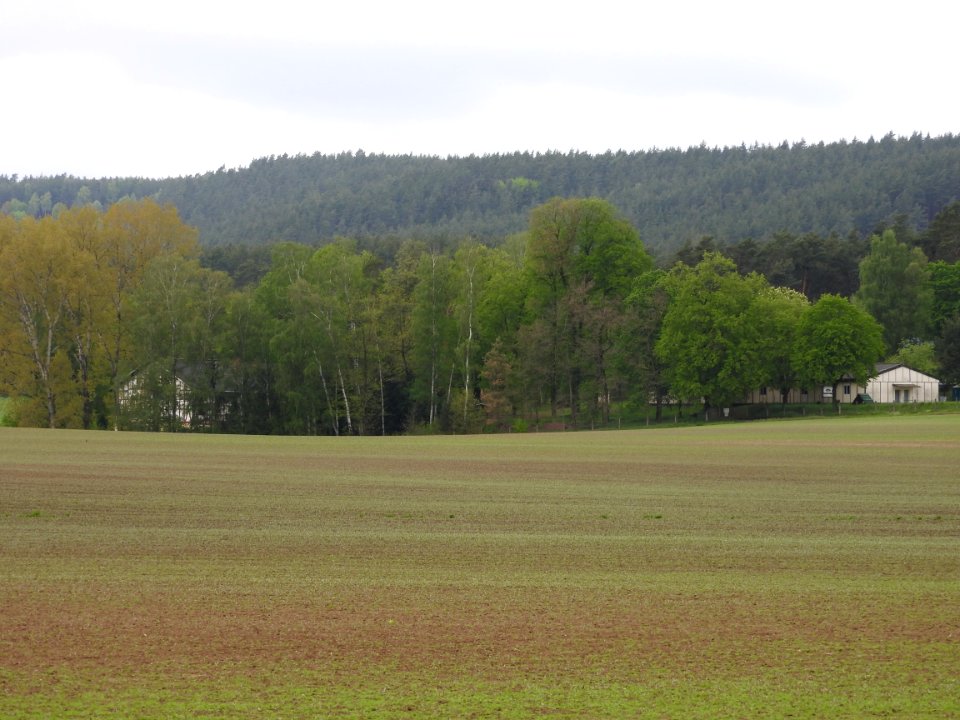 Waldhaus Zella Krölpa 1