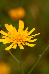 Waldspaziergang 2012-07-06-9426