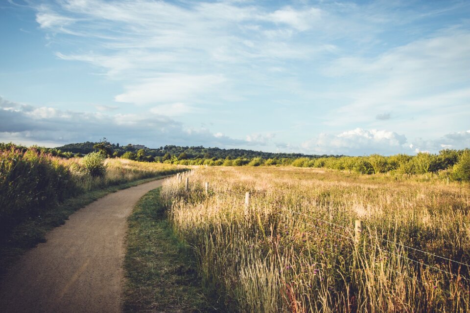 Field landscape sky