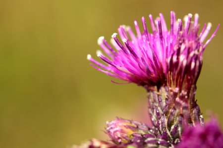 Waldspaziergang 2012-07-06-9398