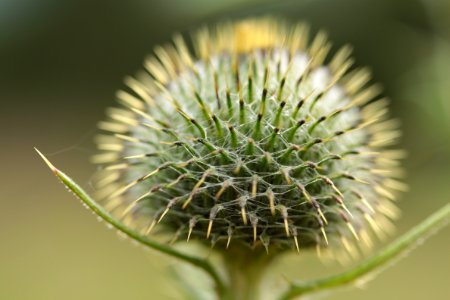Waldspaziergang 2012-07-06-9419