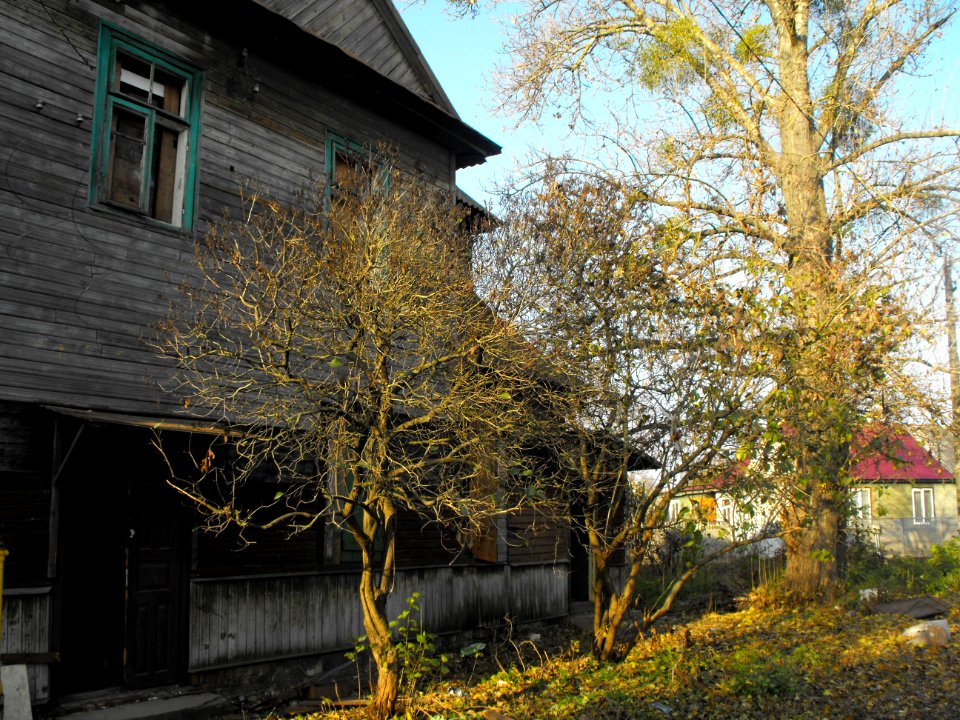 Warburg Colony in Brest 11