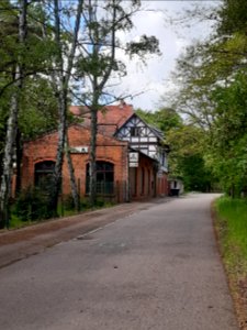 Waldkater (02) Halle (Saale)