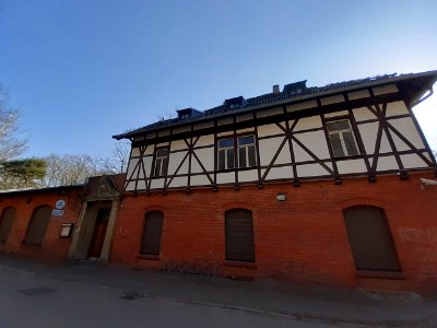 Waldkater 02 Halle (Saale)