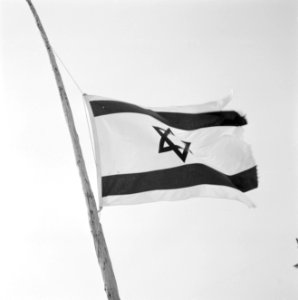Wapperende Israelische vlag halfstok, Bestanddeelnr 255-4680