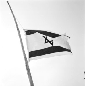 Wapperende Israelische vlag halfstok, Bestanddeelnr 255-4682