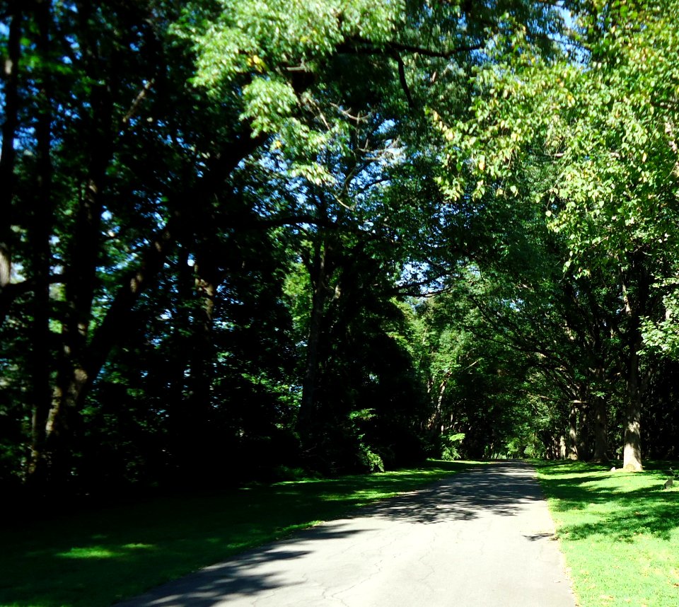 Washington Crossing NJ State Park Roadway