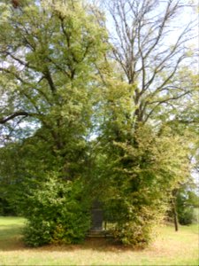 War memorial, Wolfshain, Zeulenroda-Triebes 2