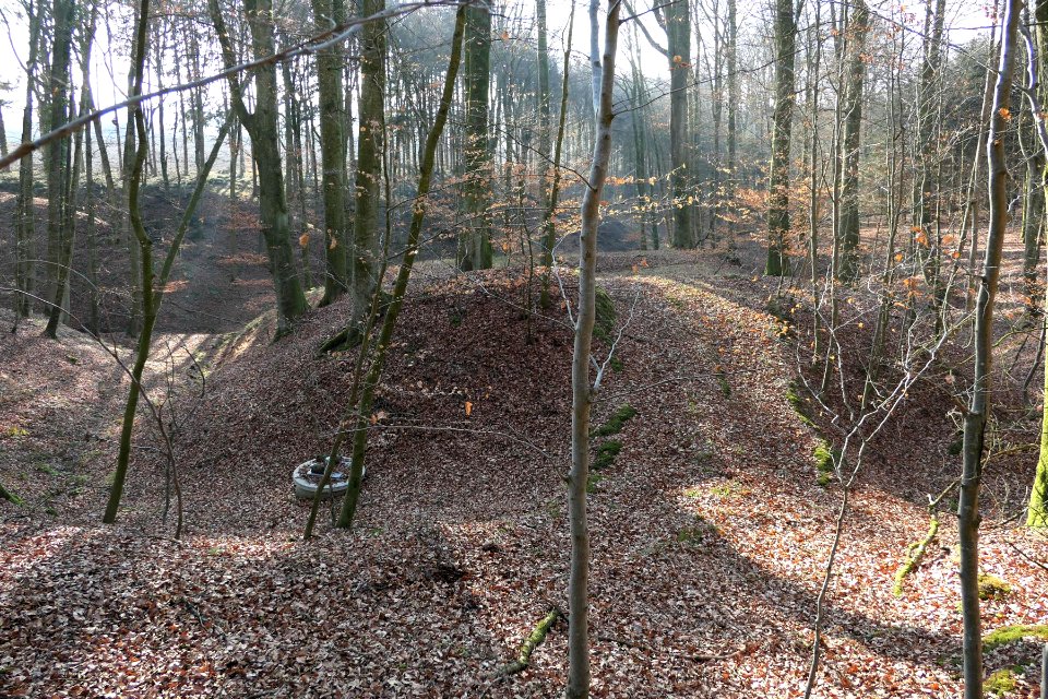 Wasenegg(Waseneck)-Baumgartenberg-vonNorden