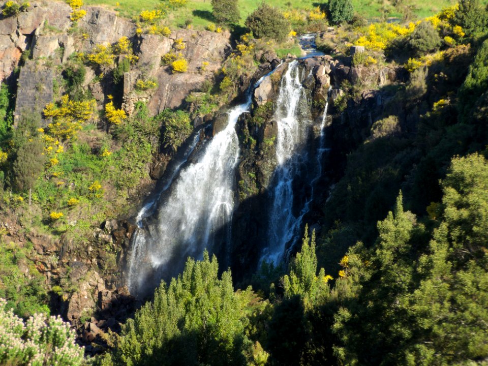 Waratah Falls 20171121-070