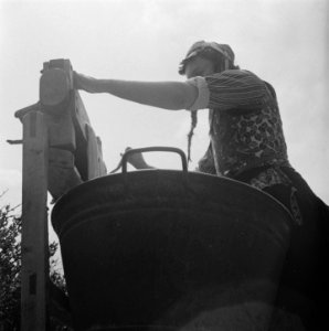 Wasdag op Marken, Bestanddeelnr 902-1793