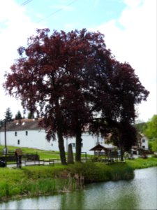 War memorial Lichtenau, Neustadt an der Orla 4