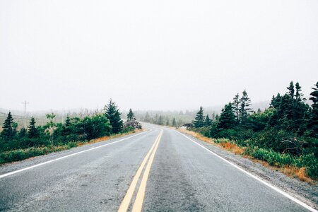 Lane path fog