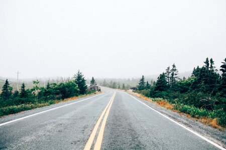 Lane path fog photo