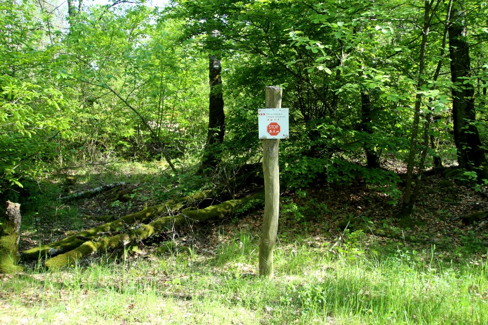 Warning sign Haard - Hesselsbierg - Staebierg 20210529