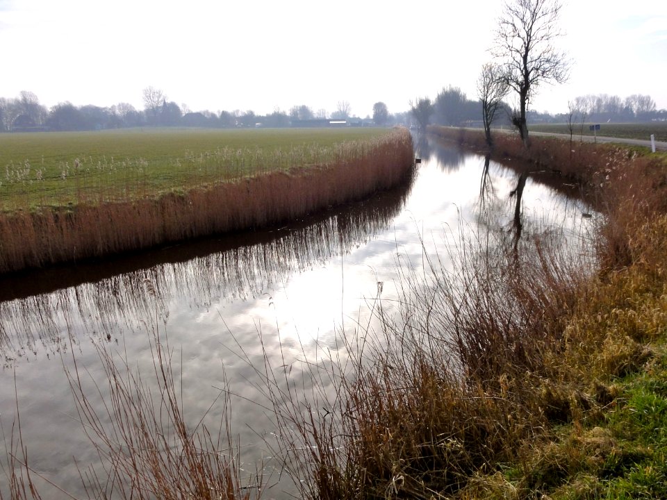 Warfhuisterloopdiep