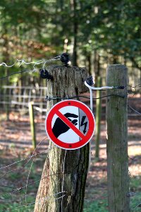 Warnschild Elektrischer Zaun