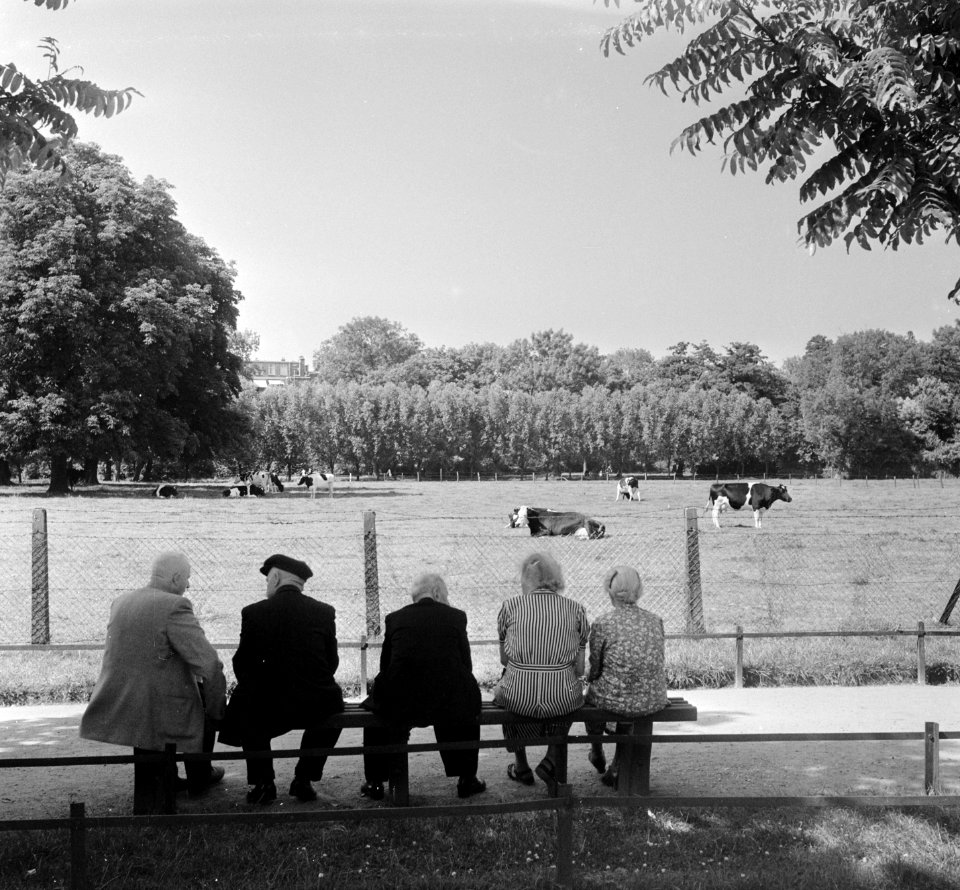 Warmteplaatjes Vondelpark, Bestanddeelnr 905-1941