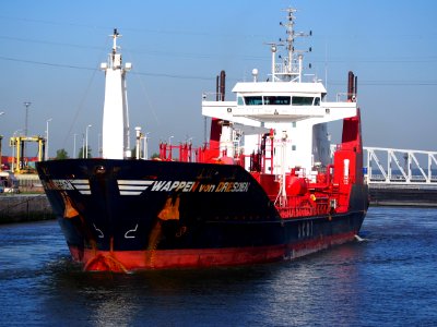 WAPPEN von DRESDEN - IMO 9365245, Berendrechtsluis, Antwerpen, pic4