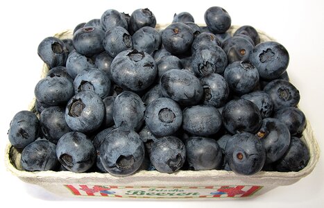 Fresh berry fruit