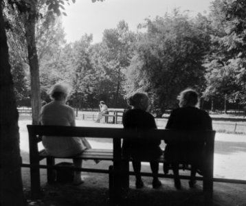 Warmteplaatjes Vondelpark, Bestanddeelnr 905-1940