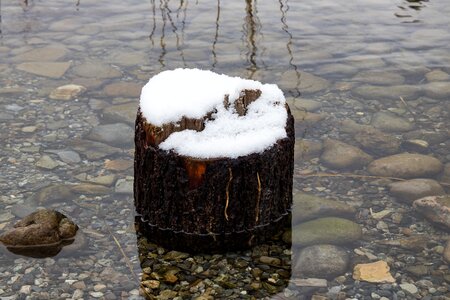 Water cold log photo