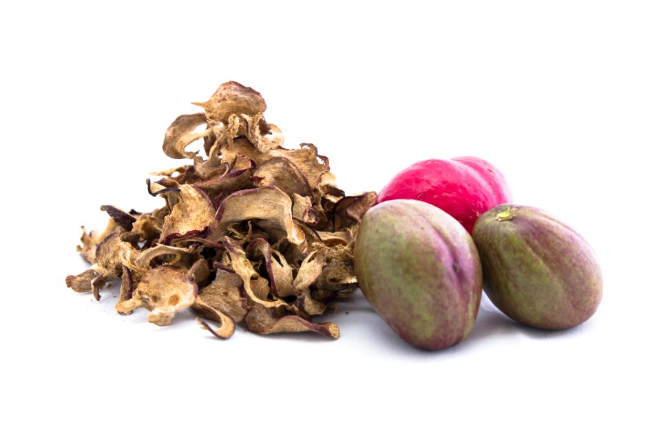 Healthy nature seed