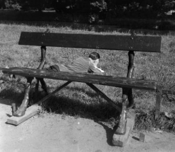 Warmteplaatjes Vondelpark, Bestanddeelnr 905-1937