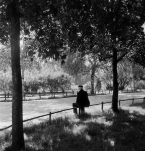 Warmteplaatjes Vondelpark, Bestanddeelnr 905-1939