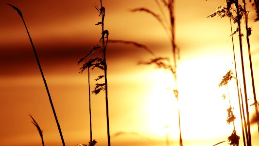 Warm Day (155562015)
