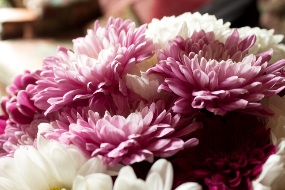 Flowers summer romance