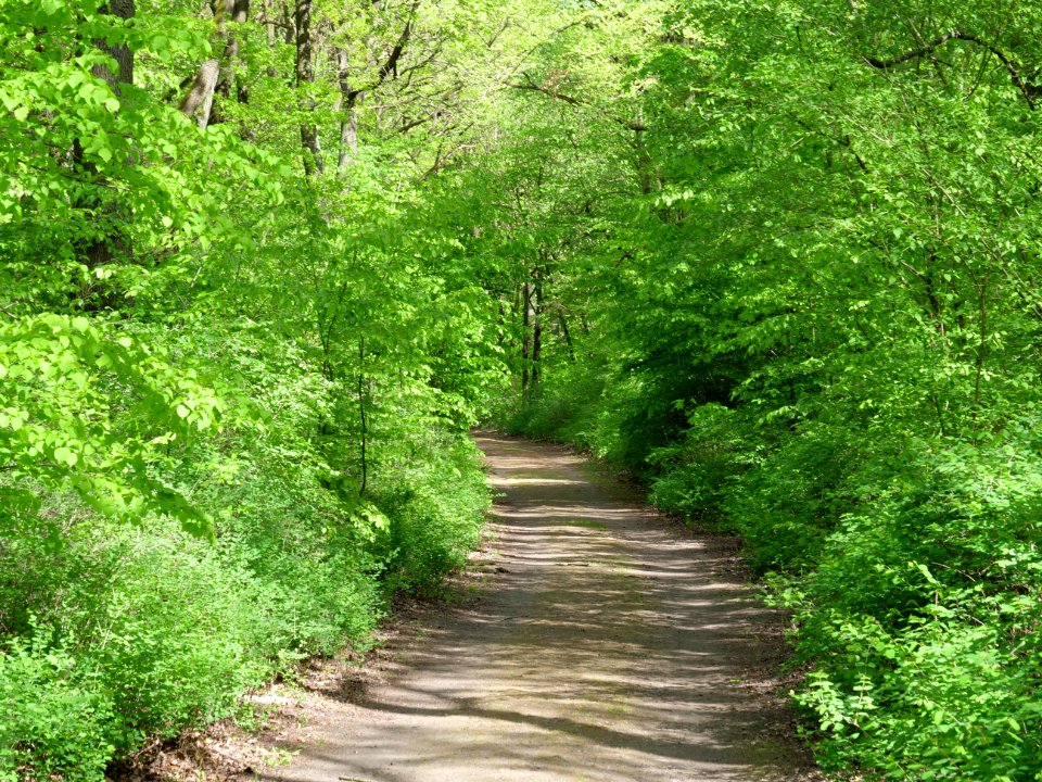 Volkspark Jungfernheide 18