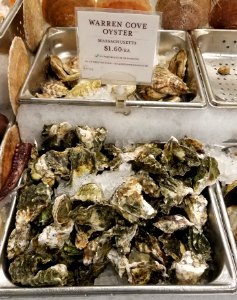 Warren Cove oysters - Boston, MA - 20180602 142347