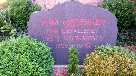 War memorial Effelder (Frankenblick) 6