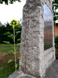 War memorial Espenfeld with sunflower