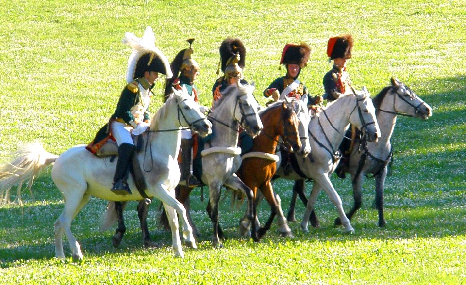 Vitoria - Recreación histórica de la Batalla de Vitoria, bicentenario 1813-2013 003