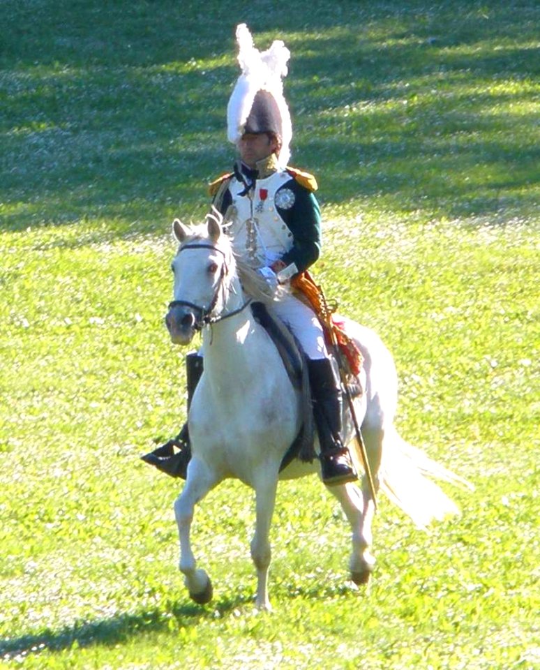 Vitoria - Recreación histórica de la Batalla de Vitoria, bicentenario 1813-2013 085