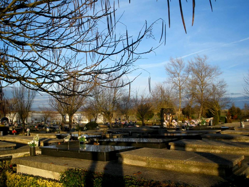 Vitoria - Cementerio de El Salvador 04