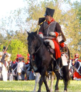 Vitoria - Recreación histórica de la Batalla de Vitoria, bicentenario 1813-2013 023