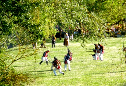 Vitoria - Recreación histórica de la Batalla de Vitoria, bicentenario 1813-2013 094