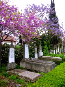 Vitoria - Cementerio de Santa Isabel 038