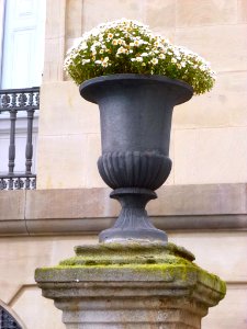 Vitoria - Plaza de la Provincia, florón